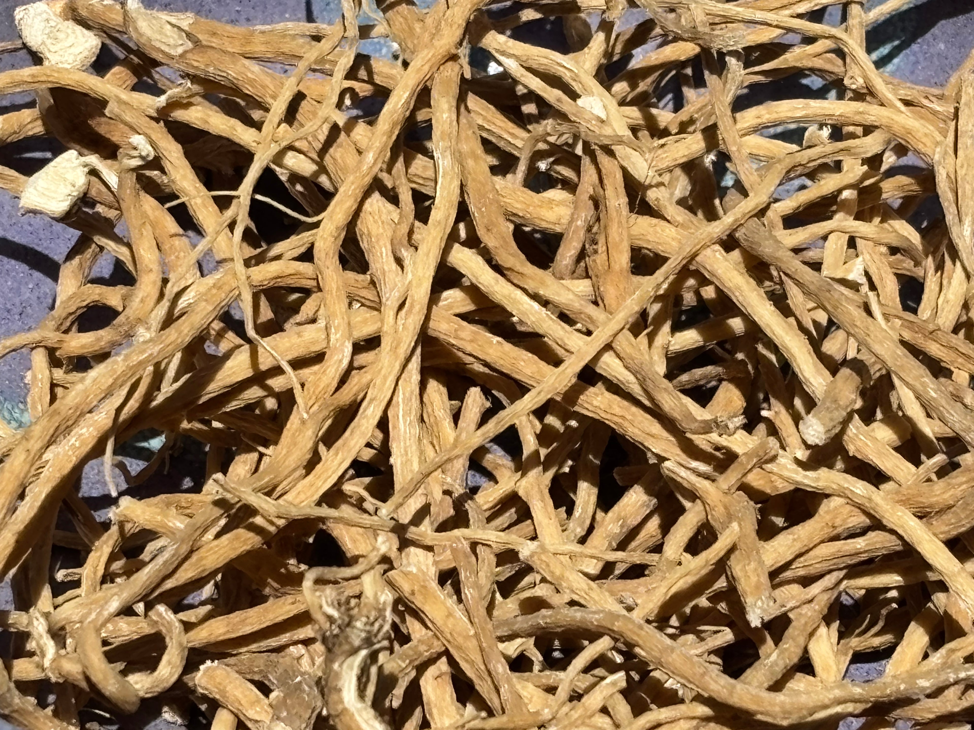 Premium Bulk Yuan Zhi / Polygala tenuifolia / Chinese Senega Root