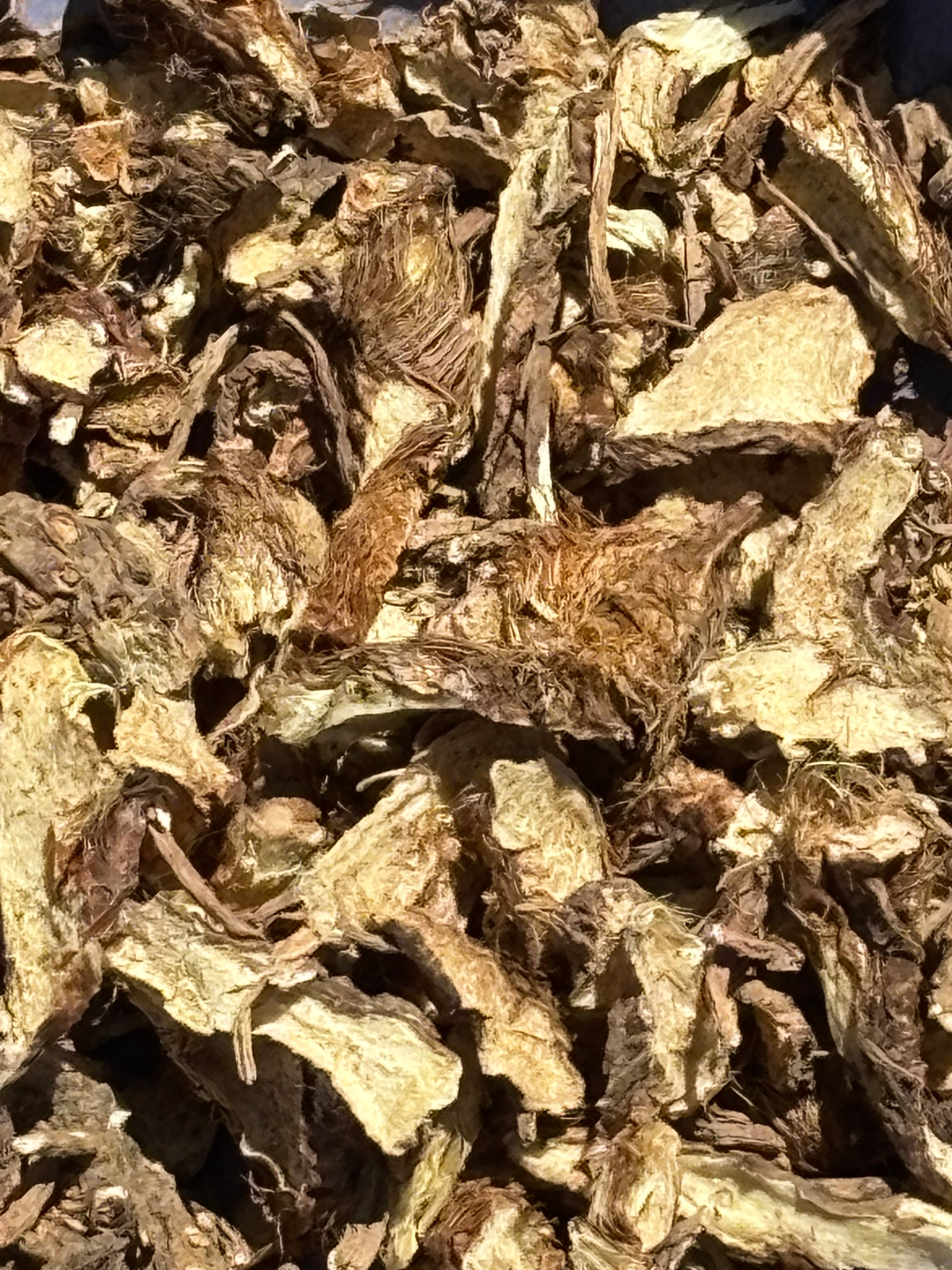 Premium Bulk Zhi Mu / Anemarrhena asphodeloides / Anemarrhena Rhizome