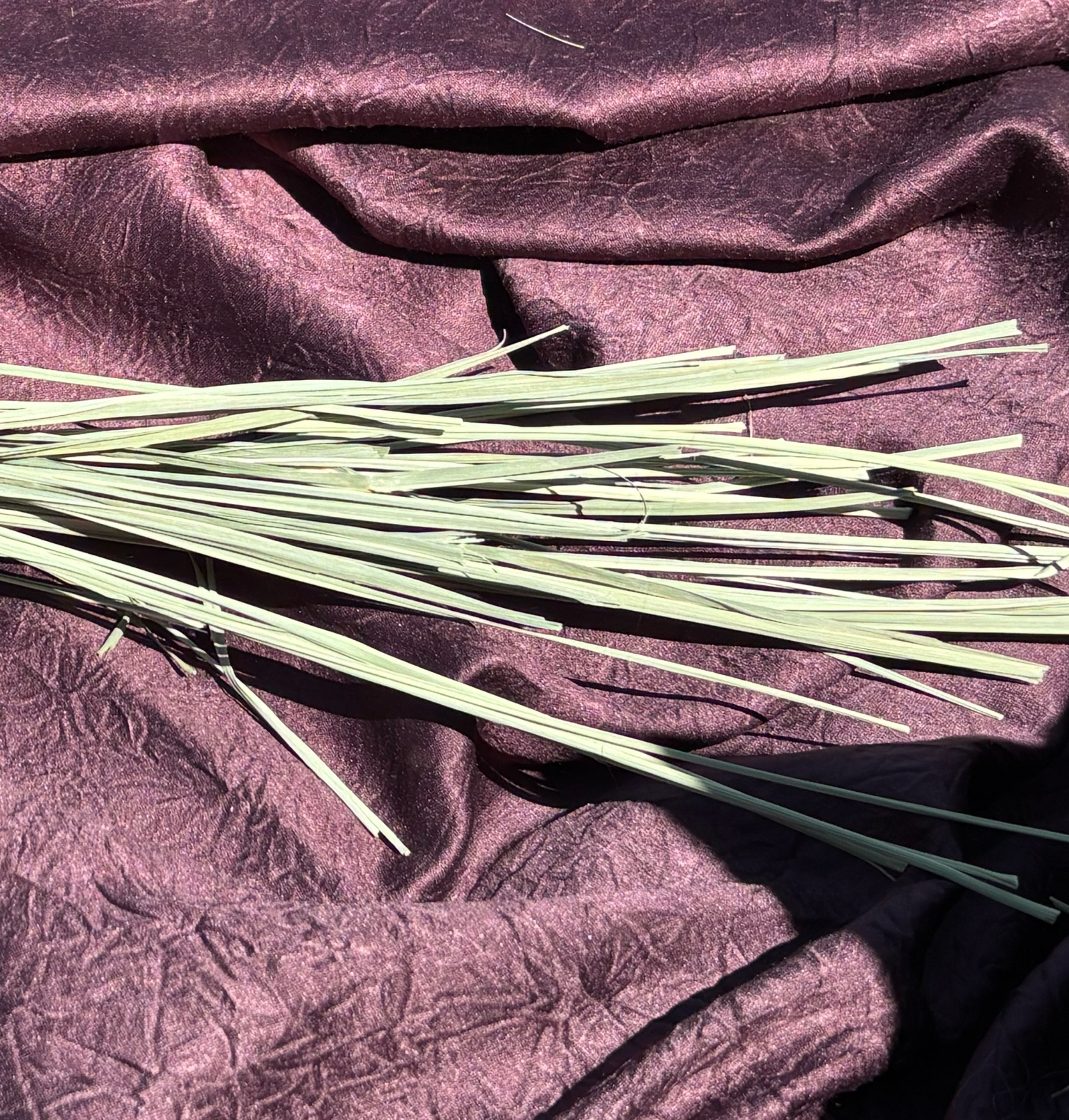 Premium Bulk Xiang Mao (Cymbopogon citratus / Lemongrass)